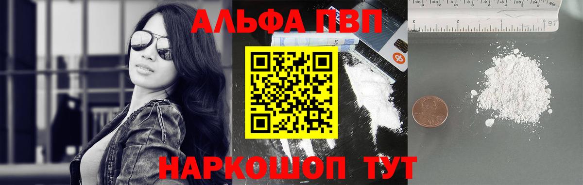 A PVP СК КРИС Шахты